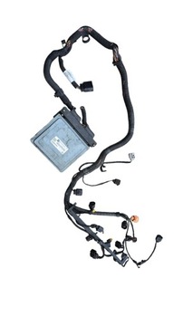 Seat ibiza iv 1.2 tsi жгут установка двигателя 03f906070bl 03f971612b фото №1