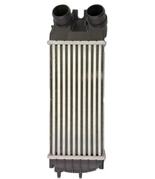 Citroen berlingo / xsara picasso / partner 1.6hdi 2005 - 384g5 фото №1