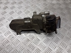 Радиаторов выхлопных газов seat leon ii 1.9 tdi 038131513ad фото №1