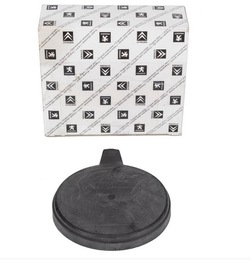 Заглушка фара fiat ducato ii 06-14 r. велика фото №1