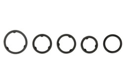 Набор прокладок радиатор масла ch elring 512.820 фото №1