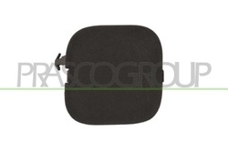 Заглушка фаркоп буксировочный перед renault scenic ii 06.03-06.09 07.03-10.06 фото №1