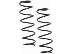 Пружини перед citroen c3 ii 1.1 1.4 09-16 фото №1