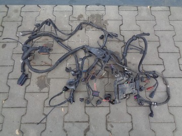 Vw polo 6r 1.2 cgp жгут 6r0971349am фото №1