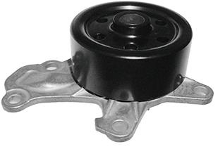 Насос воды dolz c153 фото №1