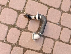 Труба шланг шланг egr 1.6 opel combo d фото №1