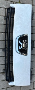 Решітка решітка радіатора peugeot expert 07-12 фото №1