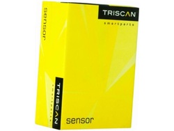 Ресора зад triscan 8765 16048 фото №1