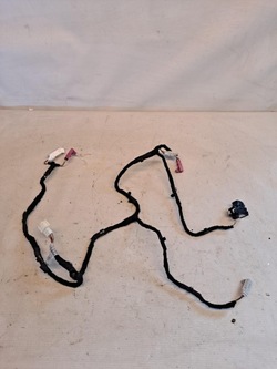 Джгут установки двері праві зад bmw i4 g26 5a362b5 фото №1