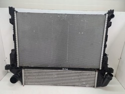 Радіаторів води інтеркулер trafic iii vivaro b фото №1