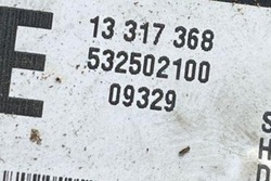 Модуль світла opel insignia a g09 13317368 1.96l дизель 118kw 2011 фото №1