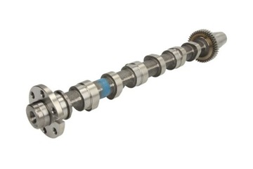 Вал розподільний вал kolbenschmidt 50007002 фото №1