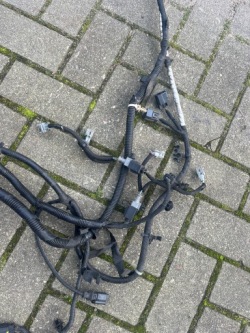 Ford OE 50754