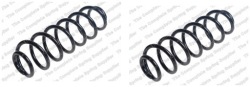 2× lesjofors 4282947 пружина
