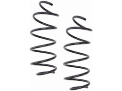 2× lesjofors 4066832 пружина