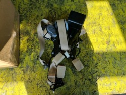 Genesis G80 16-20 ремень безопасности задний комплект