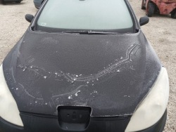 капот peugeot 407 2005 год
