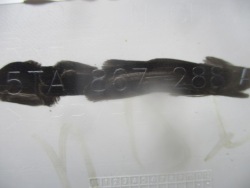 защита volkswagen oe 5TA867288A