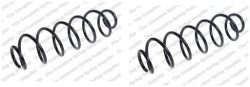 2× lesjofors 4215648 пружина