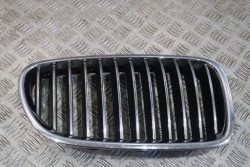 ноздря (решетка радиатора BMW F10 F11 7200728