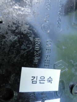 renault KOLEOS II защита бардачок