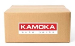 насос гур PP098 kamoka