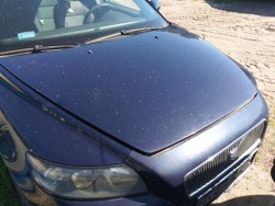 задний левый стекло кузова volvo V50 2005 год