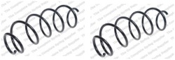 2× lesjofors 4066838 пружина