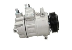 BV Psh 090.205.009.876 Компрессор кондиционера,