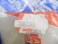 гайка задней дивана FIAT PANDA FIORINO 7562246