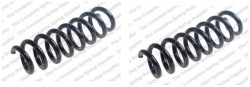 2× lesjofors 4208542 пружина