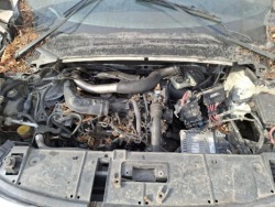 renault SCENIC петля задних дверь задняя 2011 1.5л