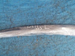 MERCEDES W211 молдинг стекла зад левый Цвет 359