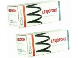 2× lesjofors 4288918 пружина
