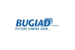 Bugiad BSP25589 поворотный кулак, цапфа
