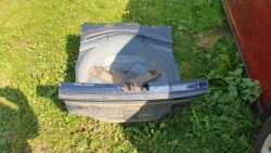 Audi A4 B6 седан - ремень зад кузов колеса