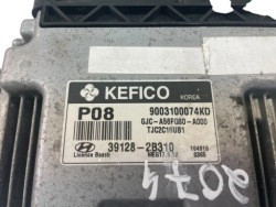 Hyundai OE 391282B310