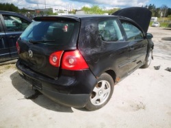 volkswagen Golf петля передних Двери - Передний 2005 1.6л