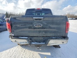 крышка багажника задний FORD F150 2015-2017 G1 америка