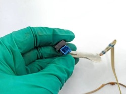 моторчик печки mercedes-benz r (W251, V251) A2128202242 34313700