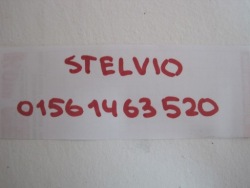 ролета задняя Alfa Romeo OE 01561463520