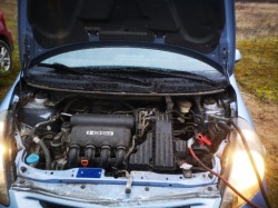 Honda JAZZ петля задних дверь задняя 2002 1.4л