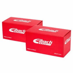 2× Eibach R10850 пружина