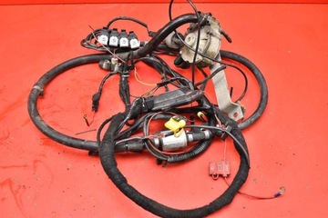 Complete gas wiring wires 67r-0170009 stag, buy