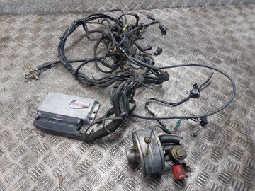 Gas wiring wires lpg 6cyl stag-300-6 ps-01 zavoli, buy