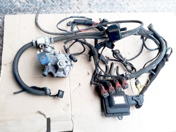 Sequence lpg gas stag 200 gofast tomasetto at09 sensor ps-02 plus valtek, buy