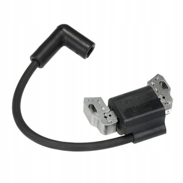 Coil ignitions from plug . briggsstratton, buy
