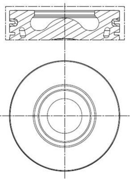 Mahle 013 pi 00136 001 поршень, фото
