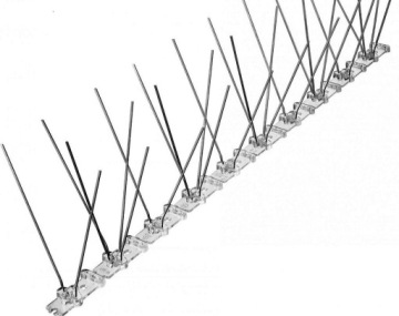 Kolce na ptaki producent