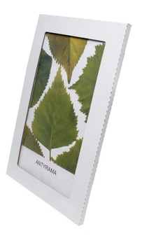 Антирама стекло 50x60; 60x50 см с листом